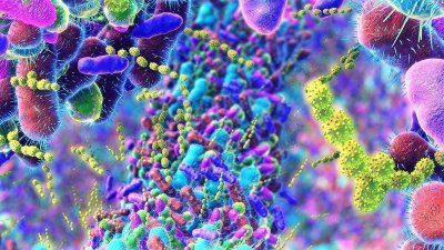 Bo odpornost bakterij na antibiotike in protimikrobna zdravila v prihodnjih desetletjih postala eden glavnih vzrokov za umiranje?