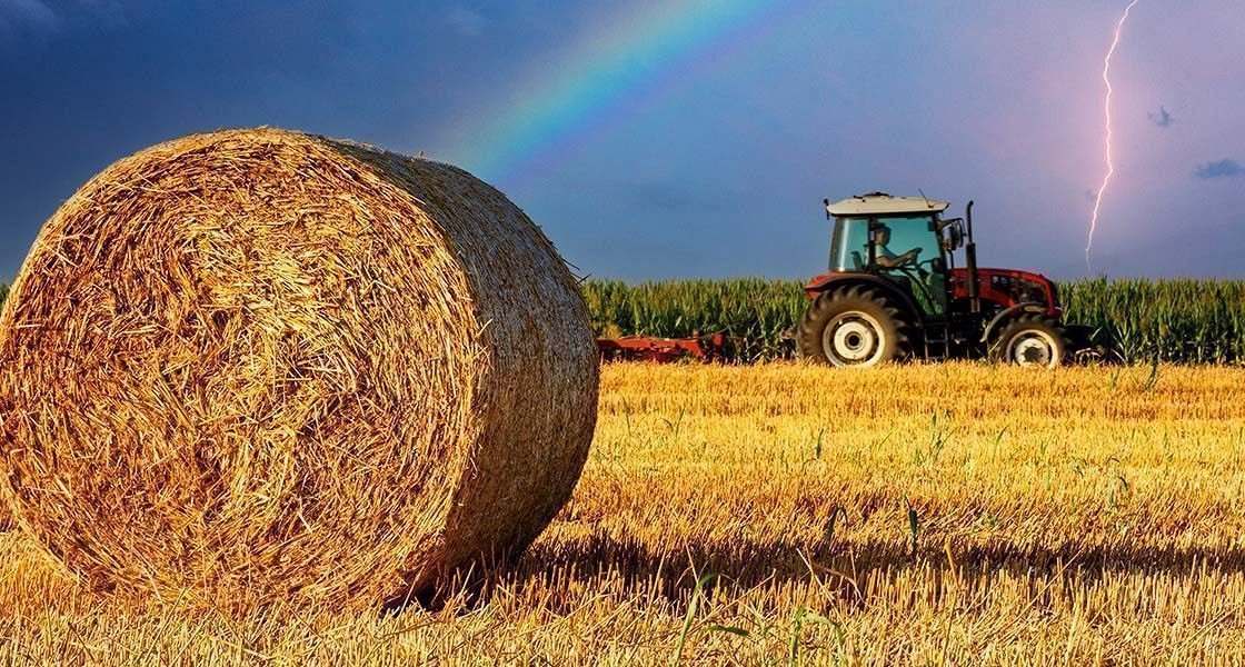 Na Gorenjskem (območje Sorškega polja) večja pojavnost tularemije oziroma zajčje mrzlice zaradi prenosa okužbe med intenzivnim prašenjem pri košnji in spravilu sena