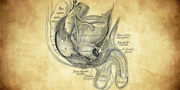 Rak prostate: »Vsak moški se mora zavedati, da servisnega pregleda ne potrebuje le njegov avto, ampak tudi njegovo zdravje«