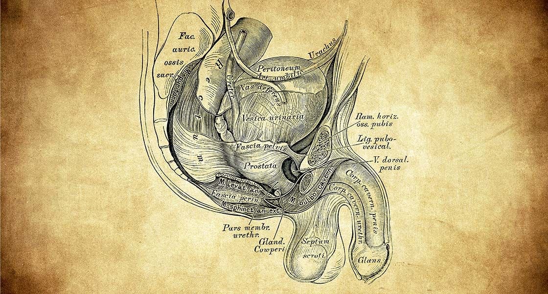 Rak prostate: »Vsak moški se mora zavedati, da servisnega pregleda ne potrebuje le njegov avto, ampak tudi njegovo zdravje«