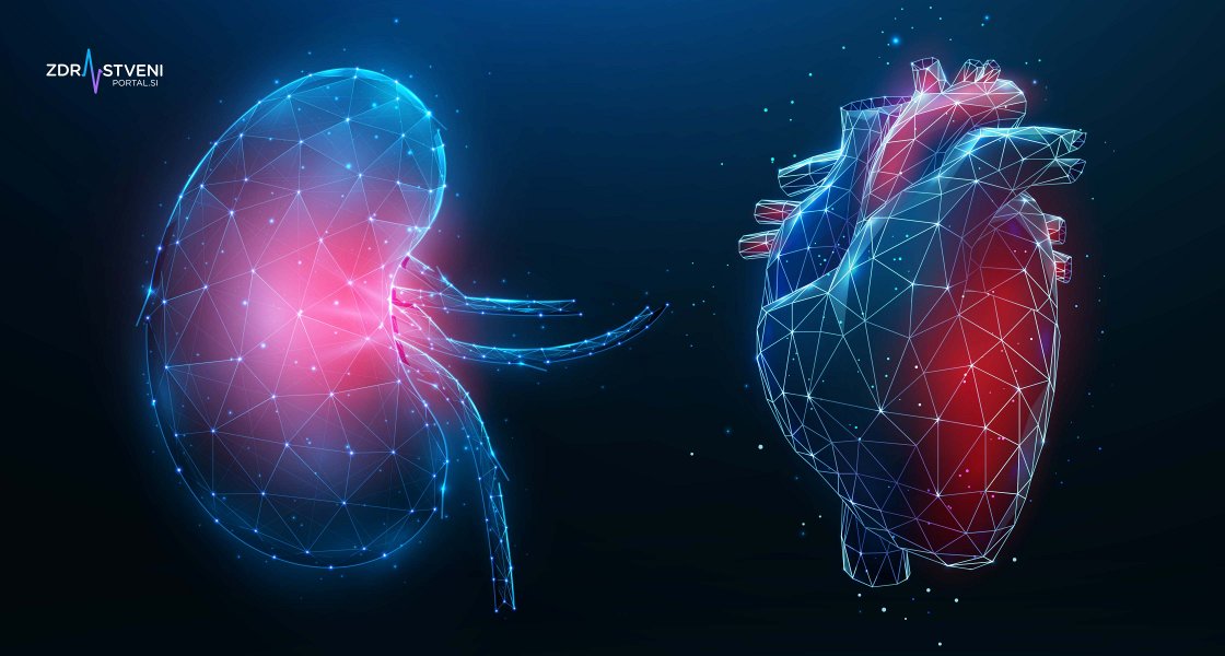 Srce in ledvica sta skorajda kot enojajčna dvojčka, kajti če začne pešati en organ, se to prejkoslej odrazi na drugem – z odpravo razvad pa lahko zaščitimo delovanje obeh organov