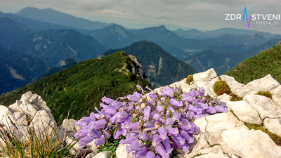 Varno v gore – nasveti zdravnikov in gorskih reševalcev