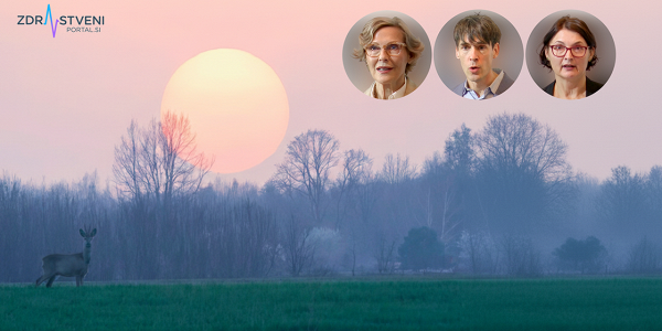 Zakaj je dodajanje vitamina D res priporočljivo? Zato, ker pomanjkanje pri otrocih povzroča rahitis, pri odraslih osteomalacijo, pri starejših pa mišično oslabelost in telesno krhkost ter kopico drugih težav in obolenj