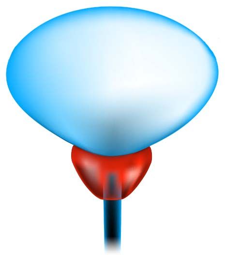 Rak prostate