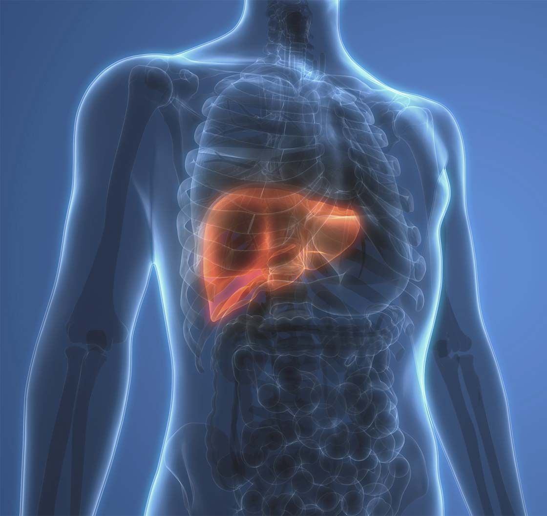 virusni hepatitisi rak jeter
