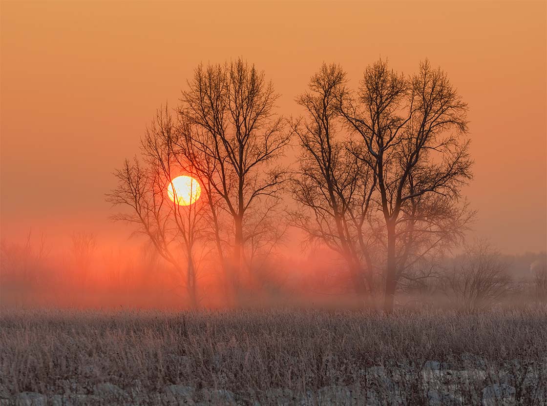 nujnost dodajanja vitamina D pozimi