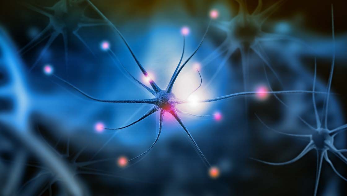 parkinsonova bolezen simbolična fotografija
