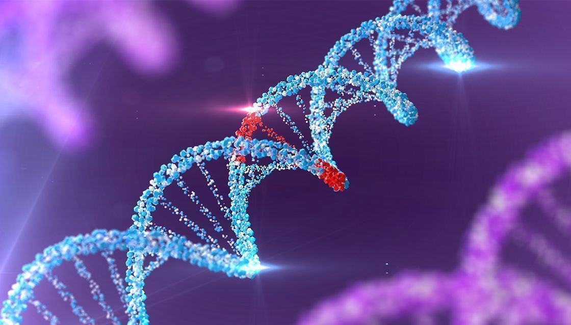 redke bolezni dostopnost zdravil