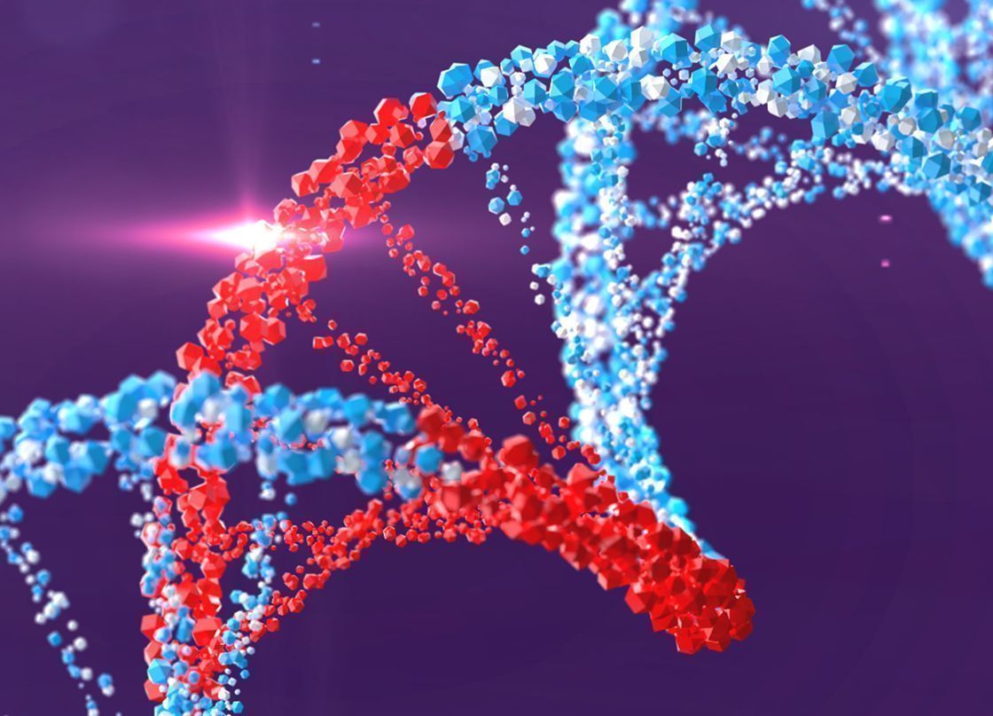 redke bolezni dostopnost zdravljenja