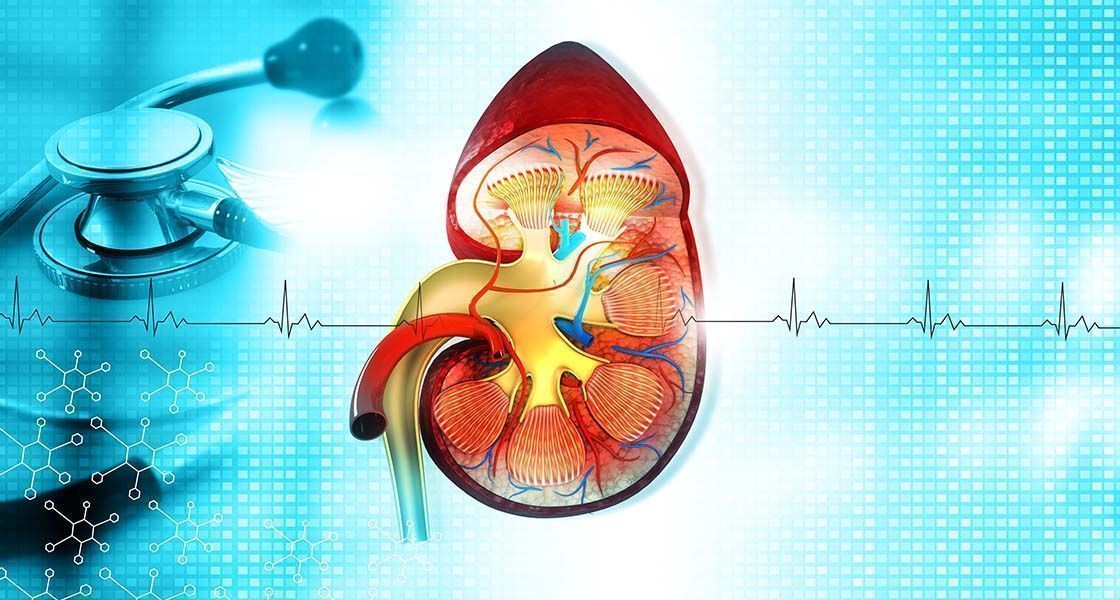 ledvična bolezen -  presejanje
