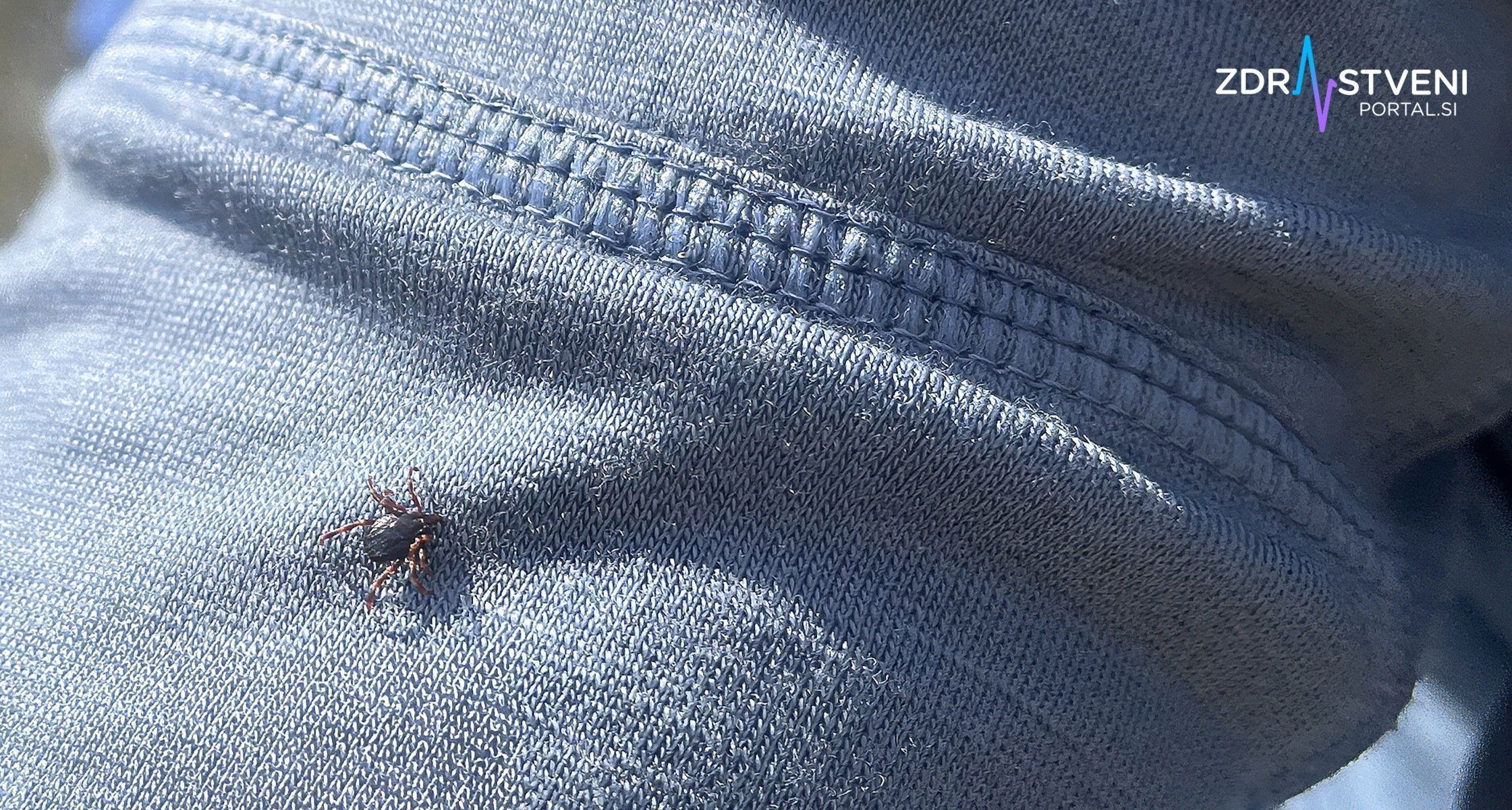 Klop virus krimsko-kongoške hemoragične mrzlice